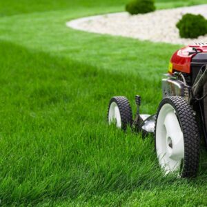 Landscaping Maintenance